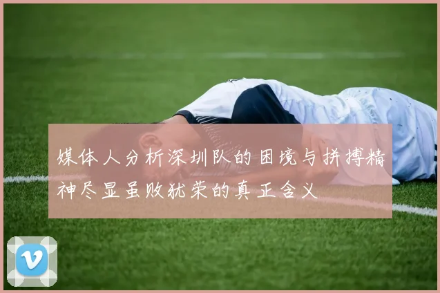 媒体人分析深圳队的困境与拼搏精神尽显虽败犹荣的真正含义