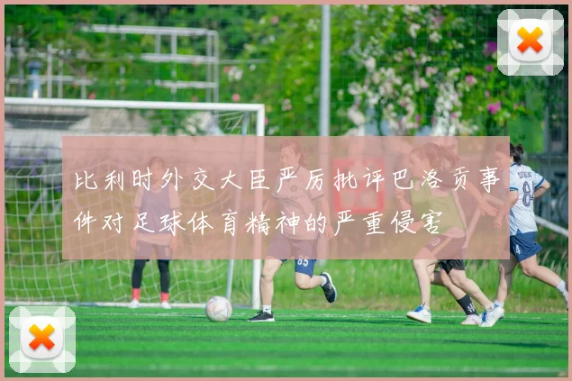 比利时外交大臣严厉批评巴洛贡事件对足球体育精神的严重侵害